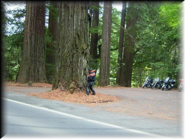 If I Pee on it It will grow