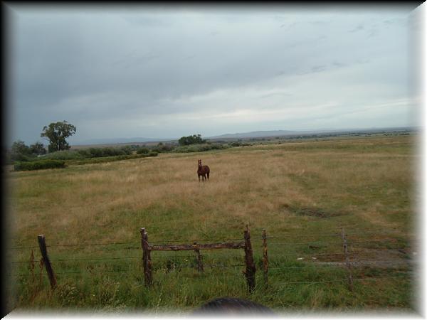 elko 2004 087