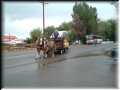 elko 2004 073